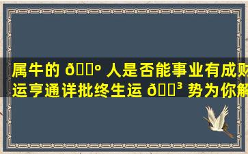 属牛的 🌺 人是否能事业有成财运亨通详批终生运 🌳 势为你解答！